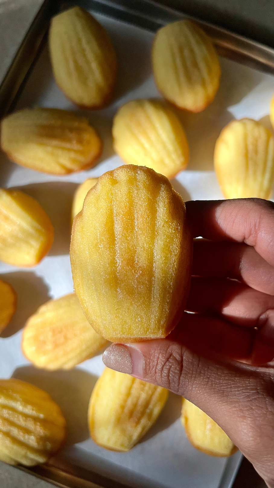 Golden lemon-zest madeleines